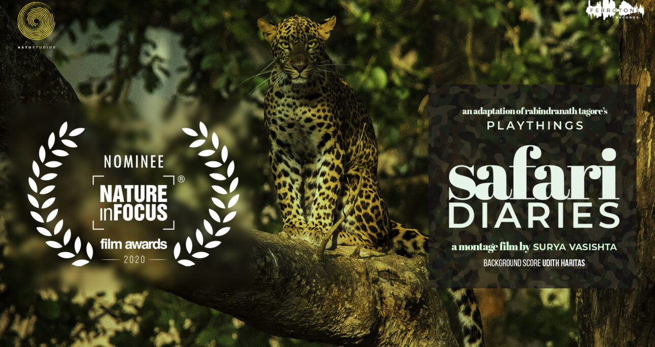 Safari Diaries is Nominated at Nature InFocus Film Awards 2020