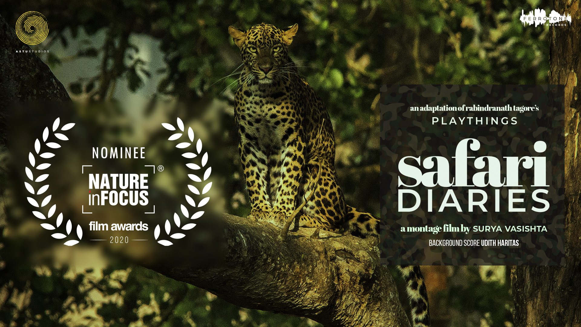Safari Diaries is Nominated at Nature InFocus Film Awards 2020